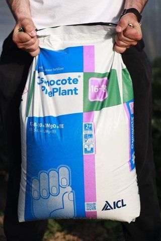 Osmocote PrePlant 16-18M (17-8-10+2MgO+TE) 3732 фото